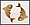 Horoscop Pesti maine